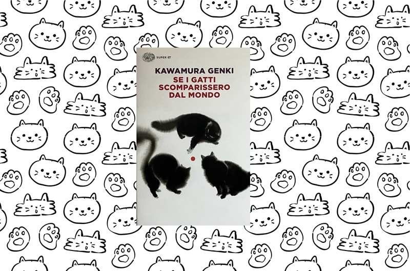 Kawamura-Genki-se-i-gatti-sparissero-dal-mondo-webok